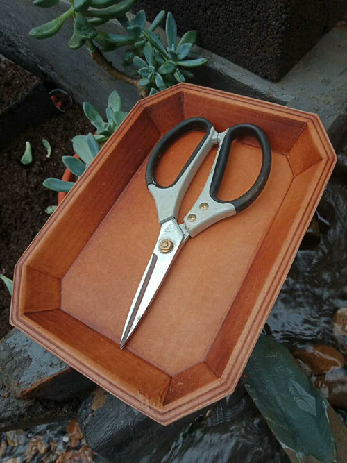 Used Leatherwork Tools - แม่พิมพ์สร้างหนังงานฝีมือขนาดใหญ่-เครื่องมือหนังทํามือ-แม่พิมพ์นี้ใช้ทําถาดเก็บหนัง